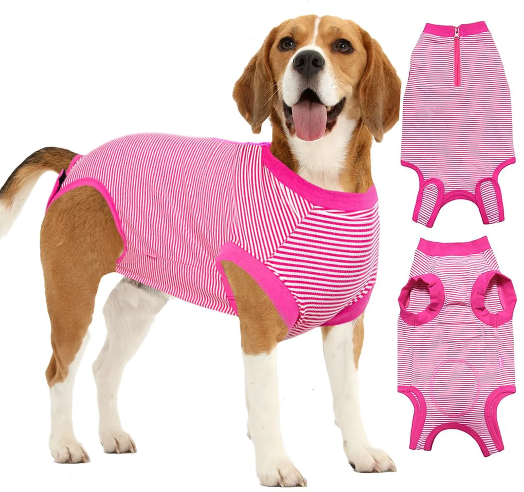 Optimized Wabdhaly Recovery Suit for Dogs – Soft Breathable Cone for Spay Recovery High-End