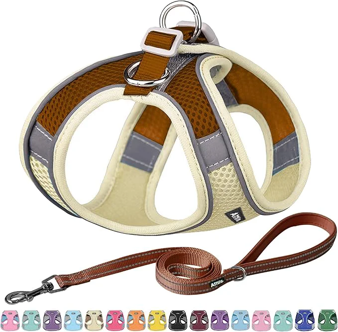 Premium AIITLE Dog Harness No-Pull Cat Harness Sustainable