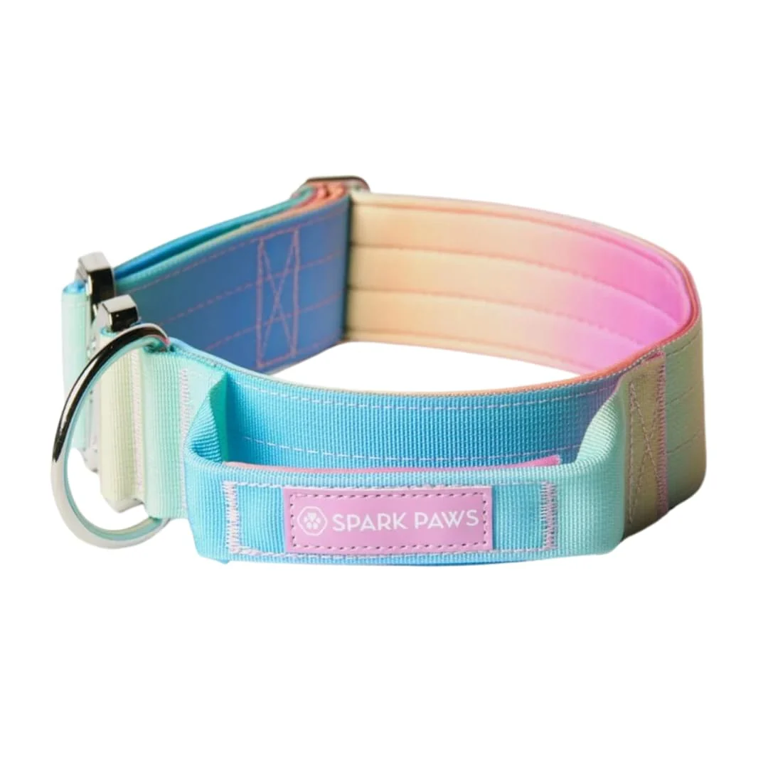 Smooth Spark Paws Tactical Dog Collar with Handle – Premium Durable 1.5in for Large Breeds Pastel Icing Artisan