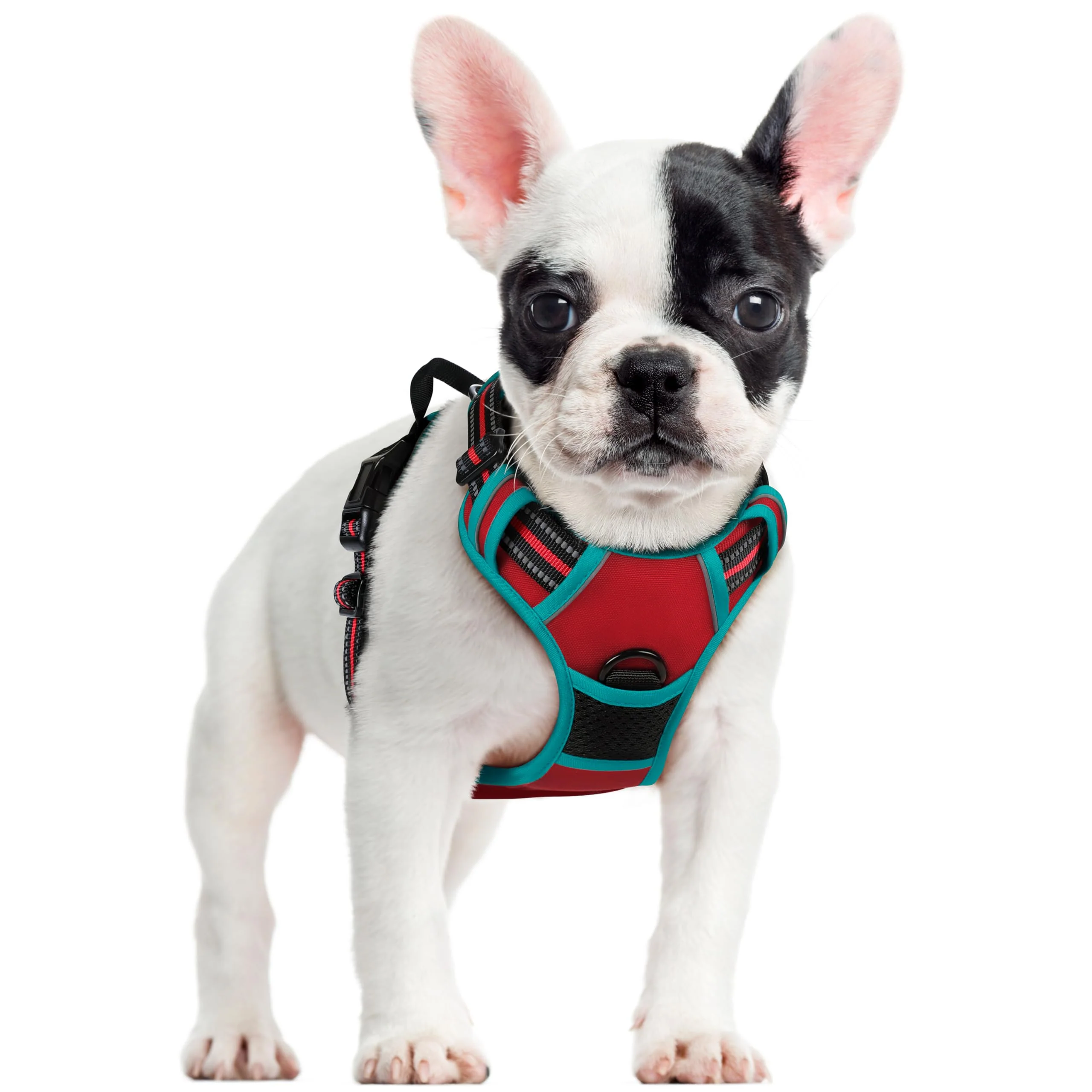 Excellent Rabbitgoo No-Pull Dog Harness with 2 Leash Clips – Adjustable Reflective Soft Padding Small Dogs Classic
