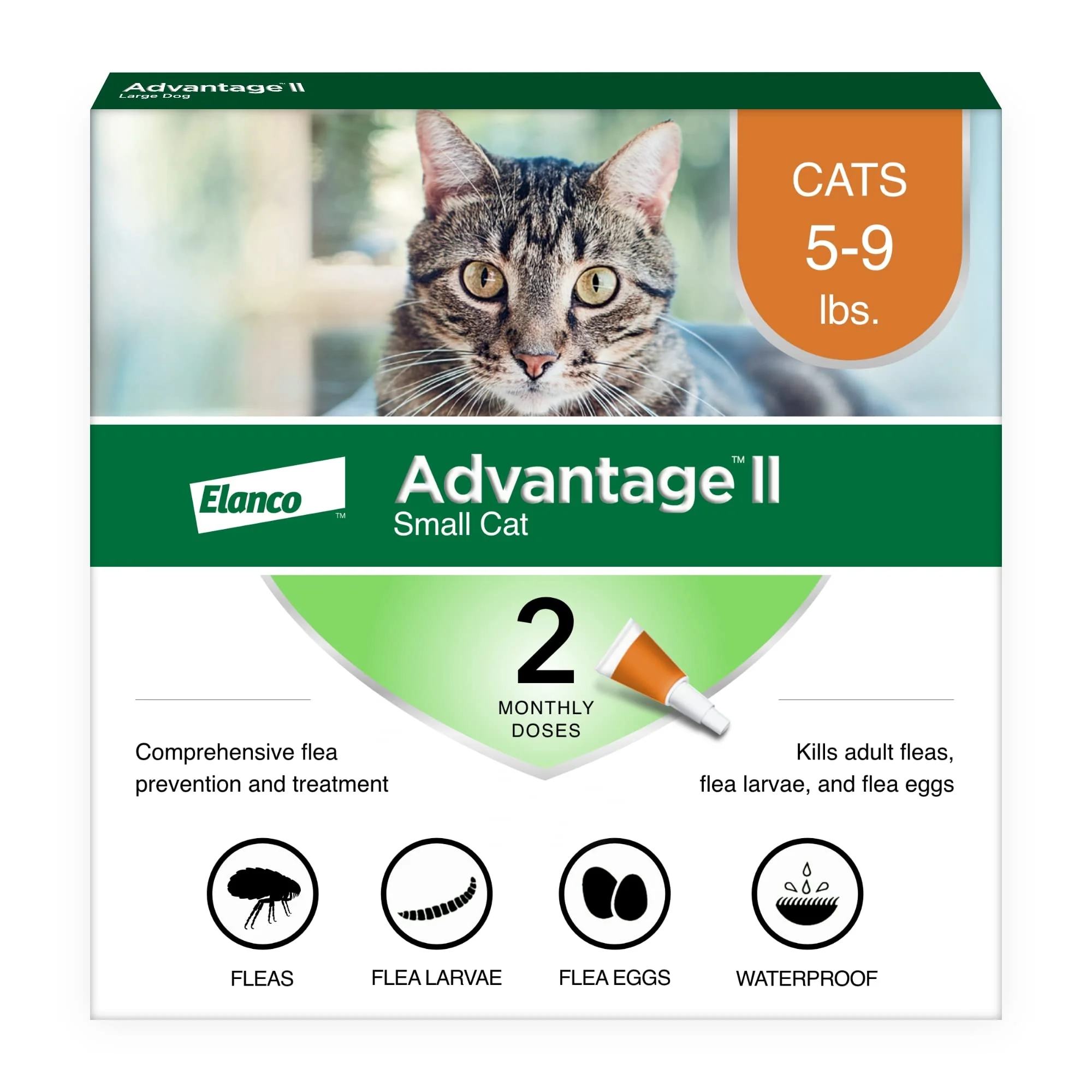 Fashionable Advantage II Small Cat Vet- Flea Treatment Prevention Cats 5-9 lbs 2-Month Supply Practical