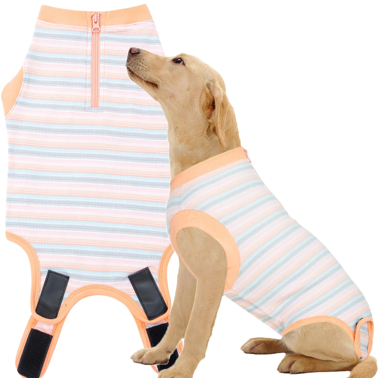 Premium Wabdhaly Recovery Suit for Dogs – Zippered Cone for Female Spay Specialty