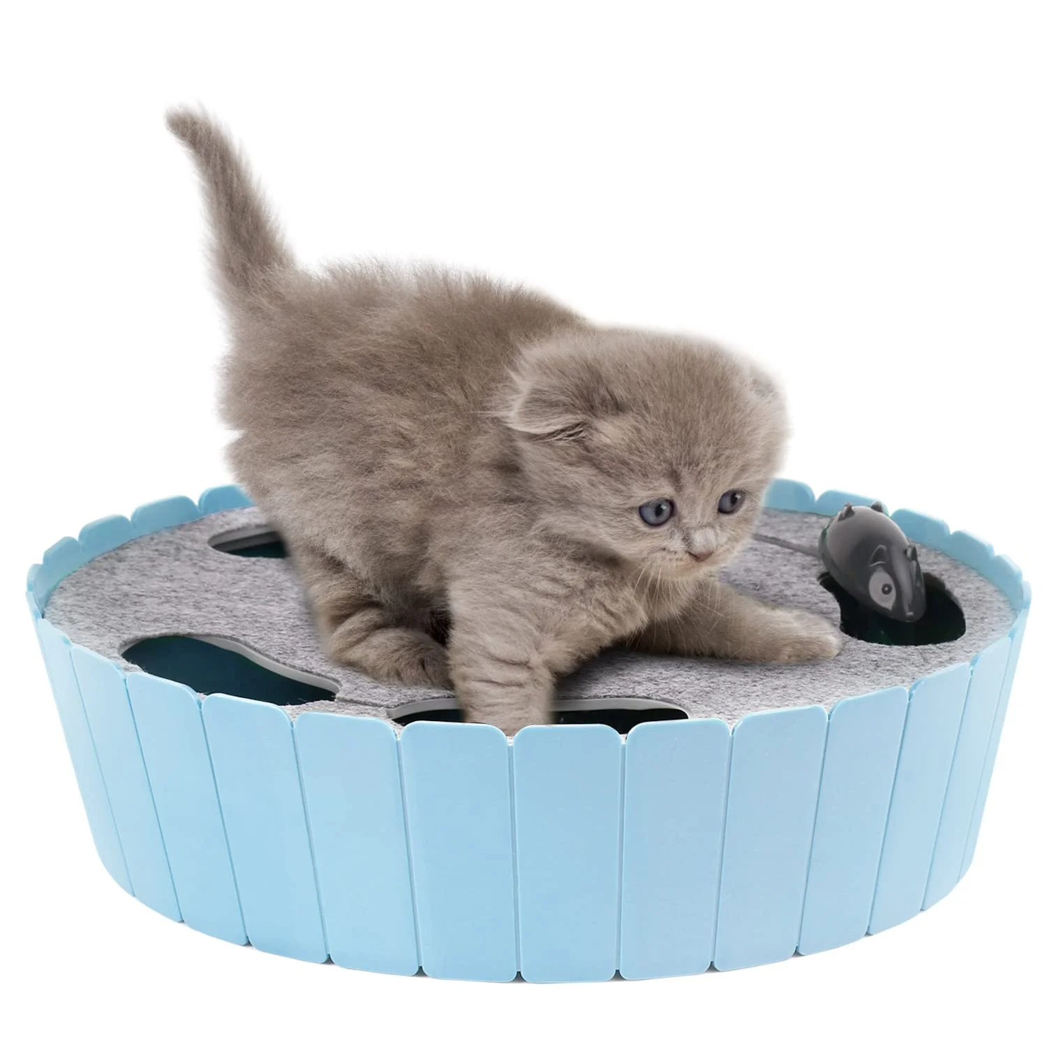 Expertly Made Pawaboo Interactive Cat Toy with Running Mouse — Automatic Teaser for Indoor Cats Blue Relaxed