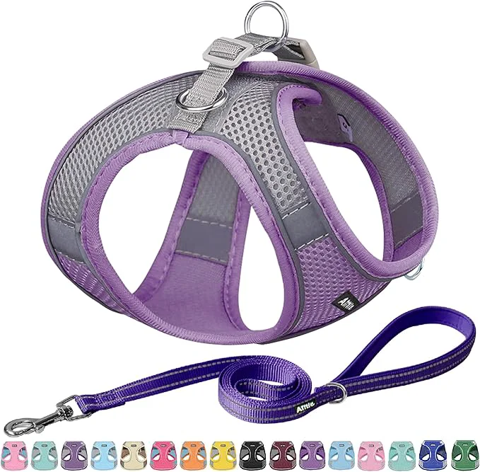 Artisan AIITLE No Pull Dog Harness and Leash Set Step in Adjustable Dog Harness Pure
