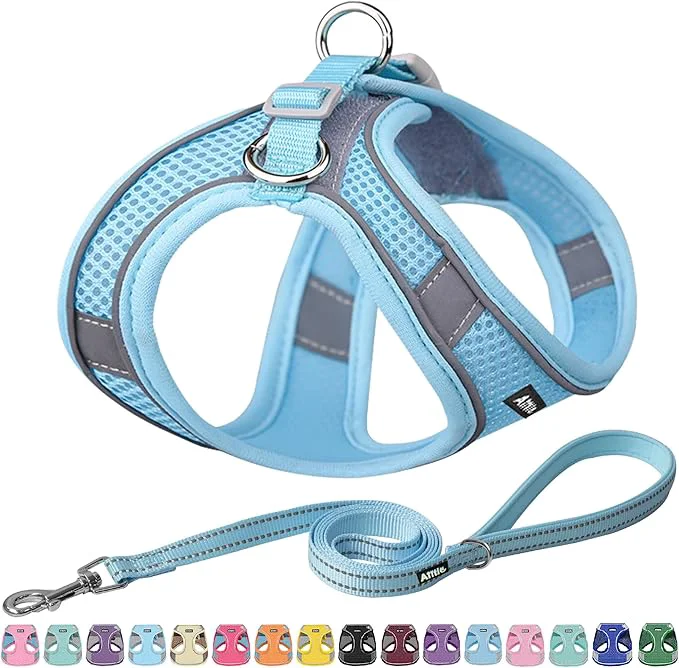 First-Class AIITLE Dog Harness No-Pull Cat Harness Minimalist