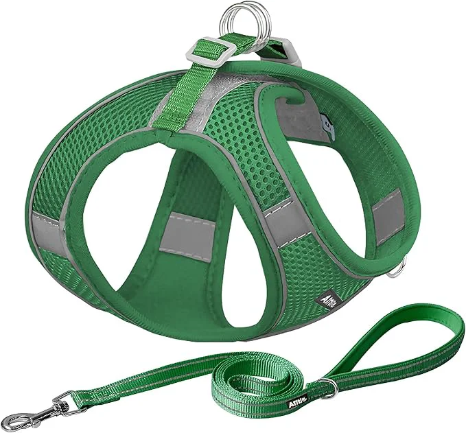 User-Friendly AIITLE Escape Proof Dog Harness High-End