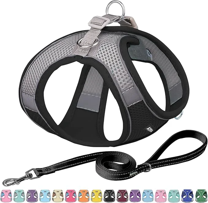 Classic AIITLE Comfortable Dog Harness and Leash Set Reliable