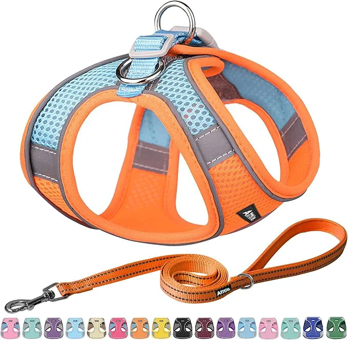 Carefully Designed AIITLE Step in Dog Harness and Leash Set Verified