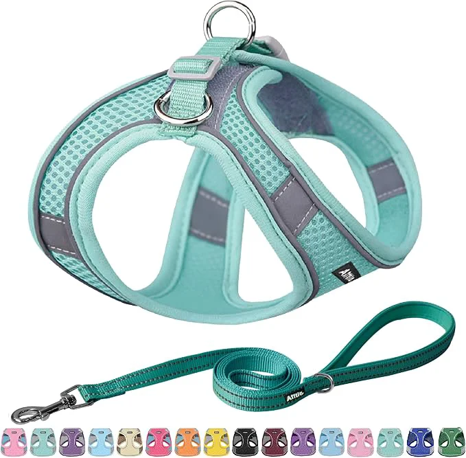 Classic AIITLE Comfortable Dog Harness and Leash Set Green