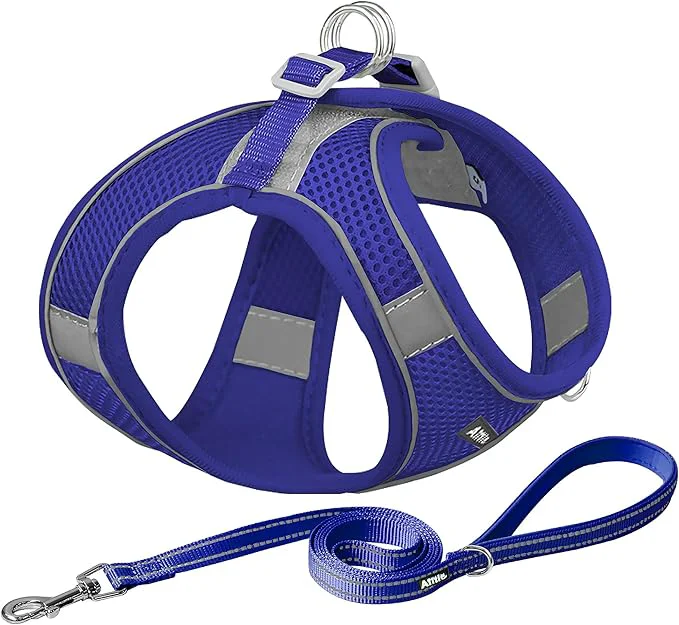 Stylish AIITLE No Pull Dog Harness and Leash Set Step in Adjustable Dog Harness Original
