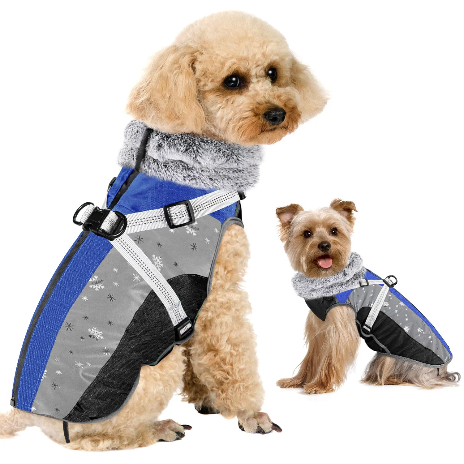 Refined SlowTon Dog Jacket with Built-In Harness — Waterproof Fleece Winter Coat for Small Medium Dogs Official