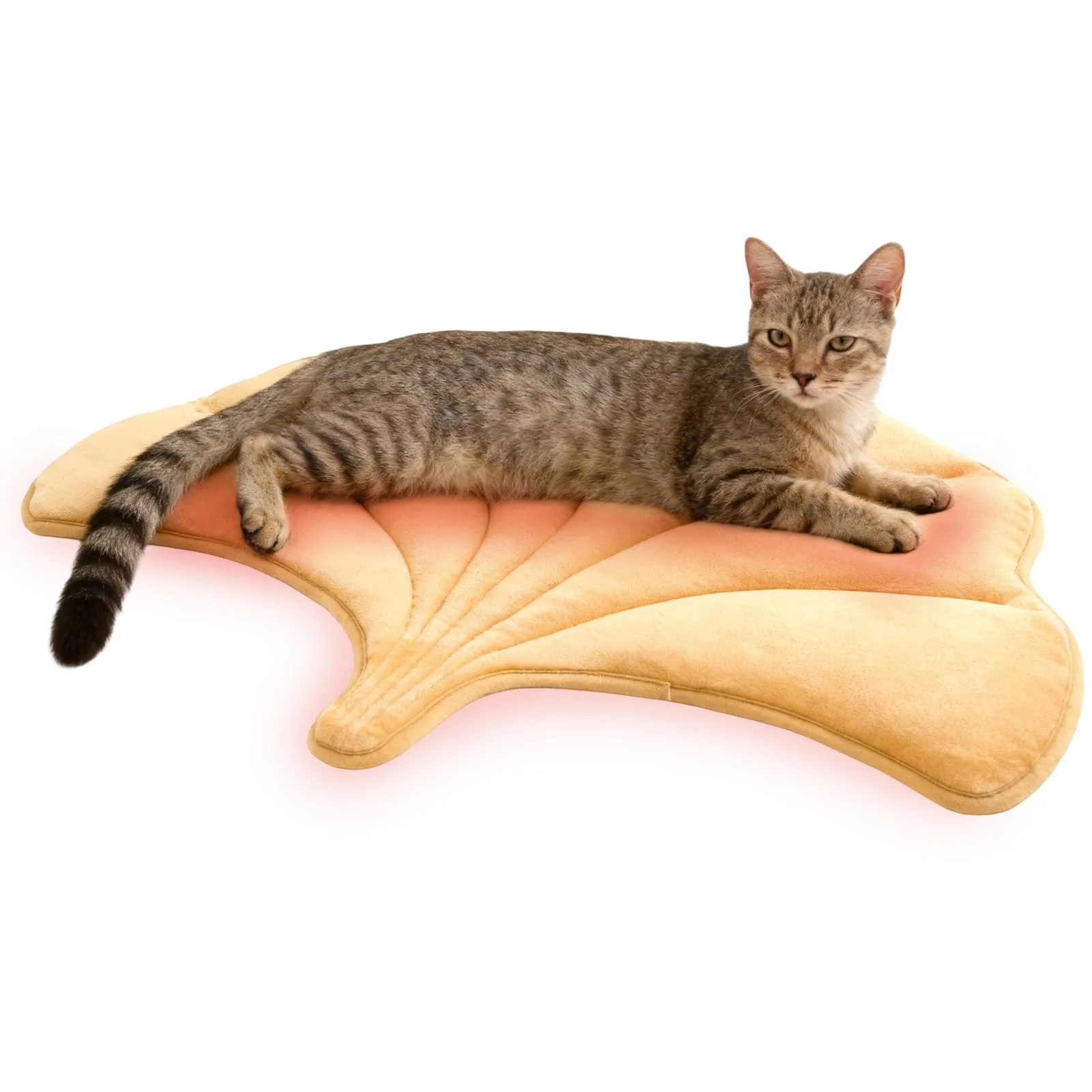 Versatile KOOLTAIL Self-Warming Cat Bed Mat — Reversible Heated Pad for Cats Dogs 20×30 Proven