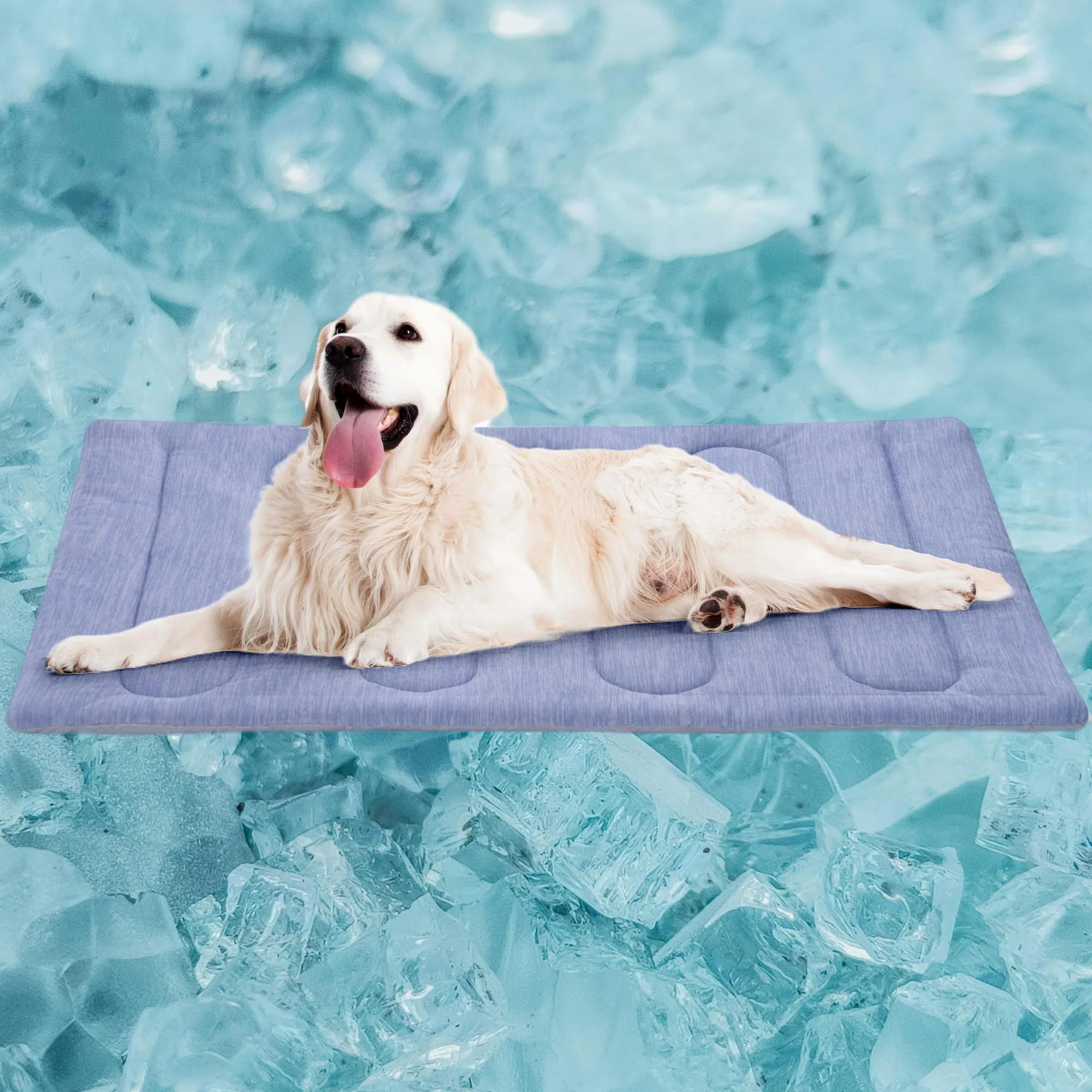 Premium PAIGTEK Cooling Mat for Large Dogs – Double-Sided Waterproof Portable 36×23 in Prestigious