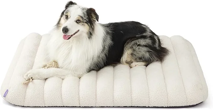 First-Class LE SURE Cute Orthopedic Dog Bed Large Sized Dog Waterproof Chic Flat Pet Beds Traditional