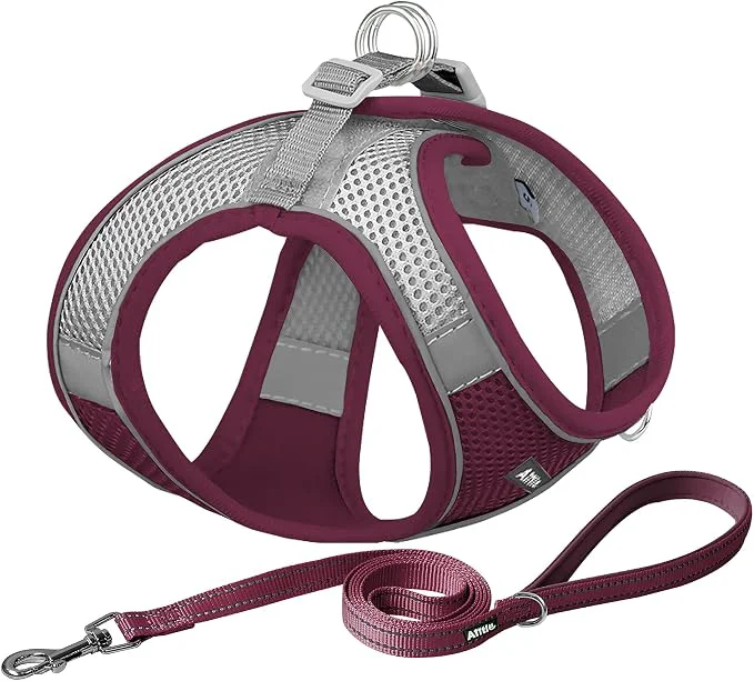 Proven AIITLE Escape Proof Dog Harness High-End