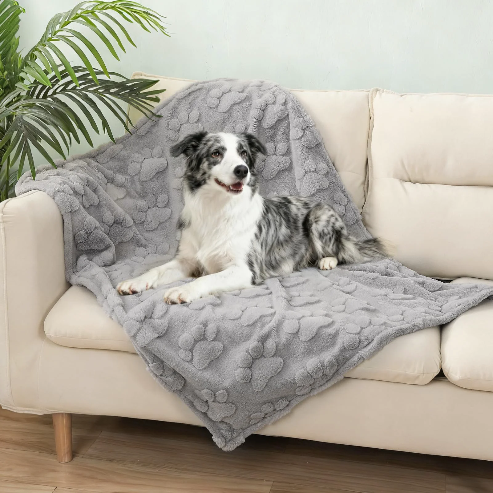High-Quality BEAUTYZOO Waterproof Dog Blanket for Large Dogs — 60×40 in Couch Protector Plush Triple-Layer World-Class