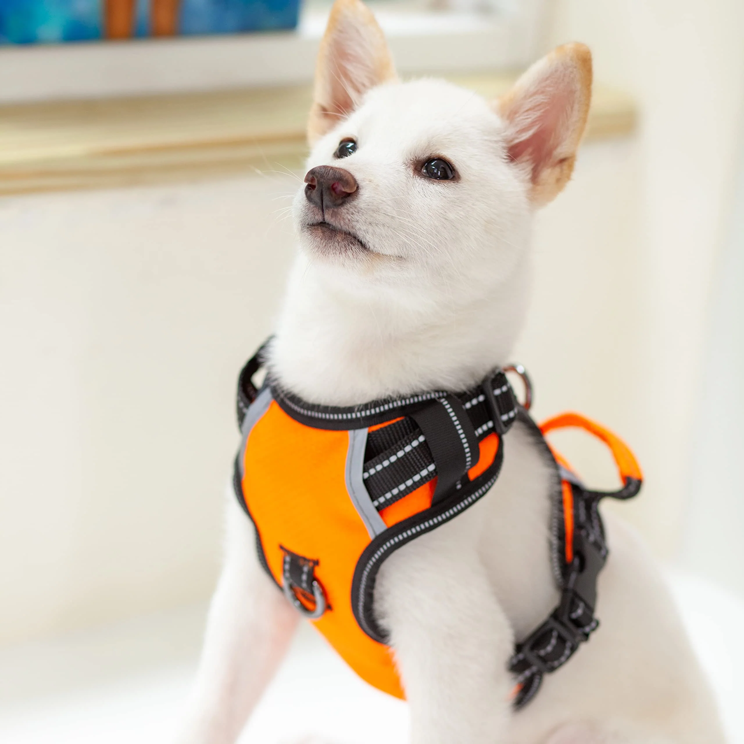 Fashionable Puwihoe No Pull Dog Harness – Reflective Front Back Clips Adjustable Breathable Vest Orange S Soft