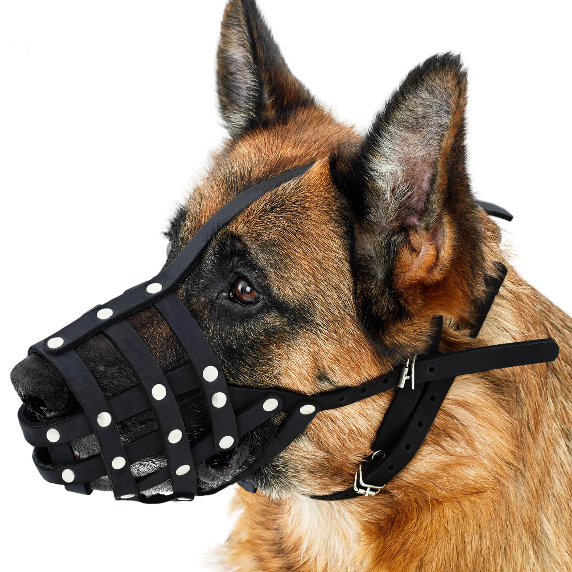 Reliable CollarDirect Leather Basket Dog Muzzle for Medium Large Breeds – Black Large User-Friendly