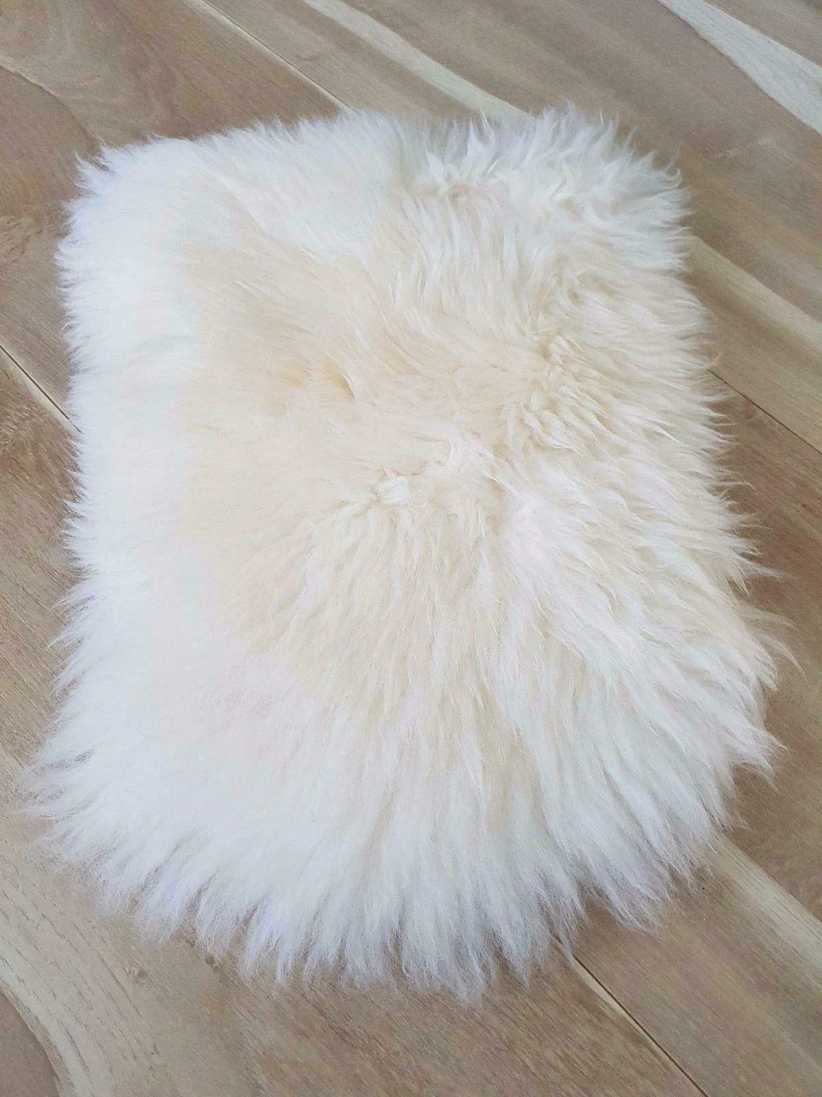 Exclusive Asuprui Pet Bed Mat 18×12 Inches Flexible