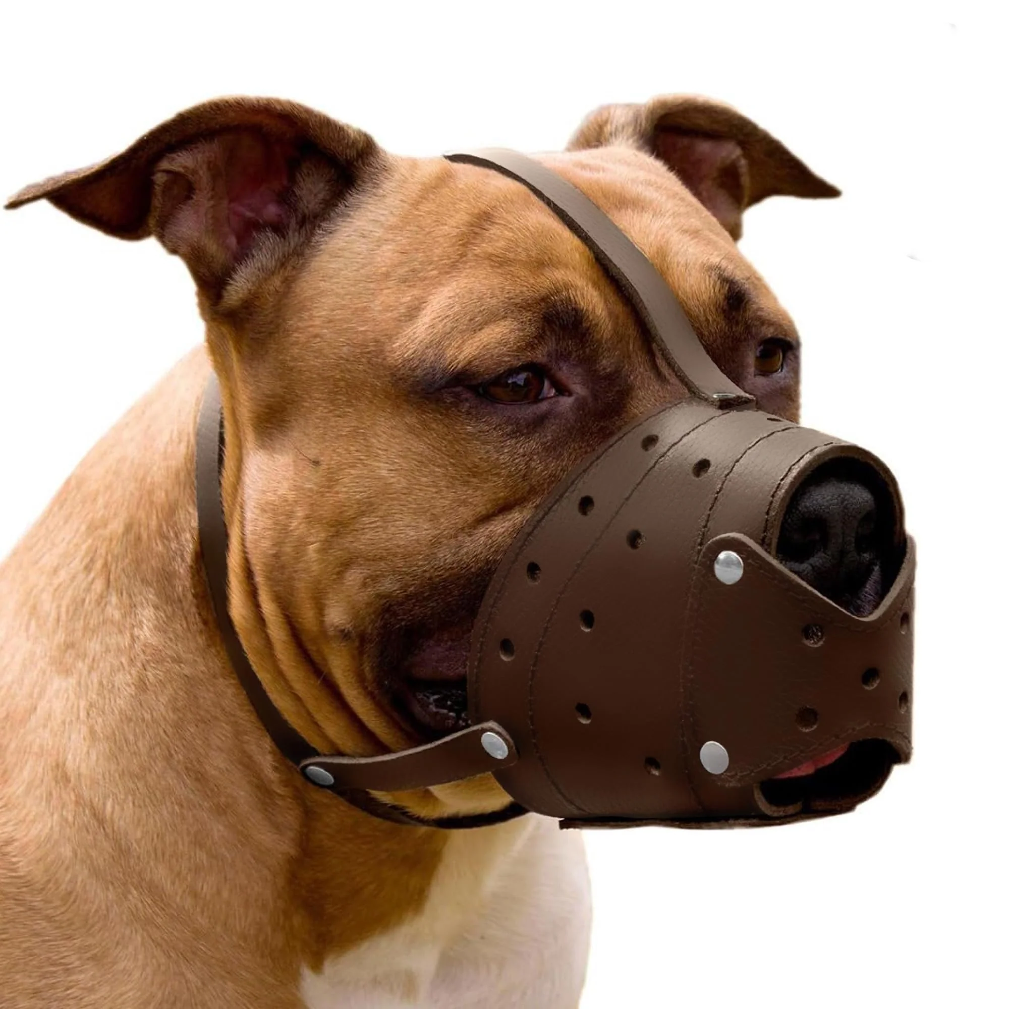 Comfortable CollarDirect Leather Basket Dog Muzzle – Adjustable Breathable for Large Breeds Brown Relaxed