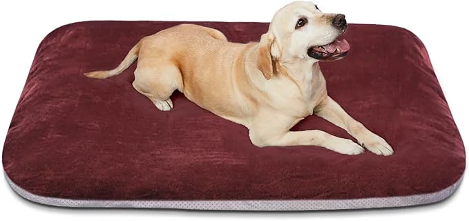 Efficient Dog Super Soft Large Dog Bed 39 Inches Orthopedic Foam Pet Beds Excellent
