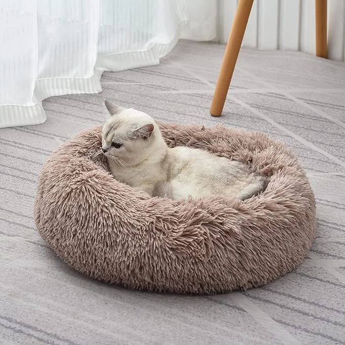 Exclusive Cat Beds for Indoor Cats Carefully Designed