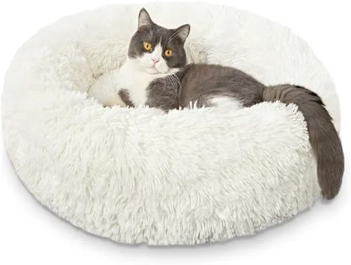 Elegant Cat Beds for Indoor Cats Enhanced