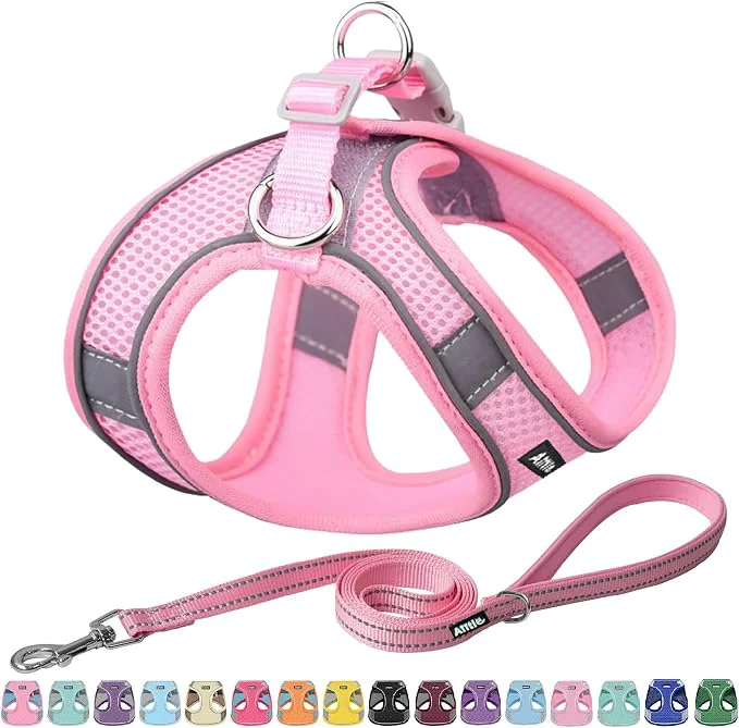 Environmentally Friendly AIITLE Easy Walk Dog Harness and Leash Set Official