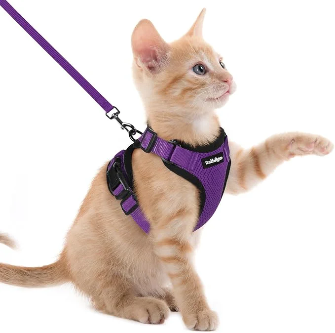 Smart rabbitgoo Cat Harness and Leash Trusted