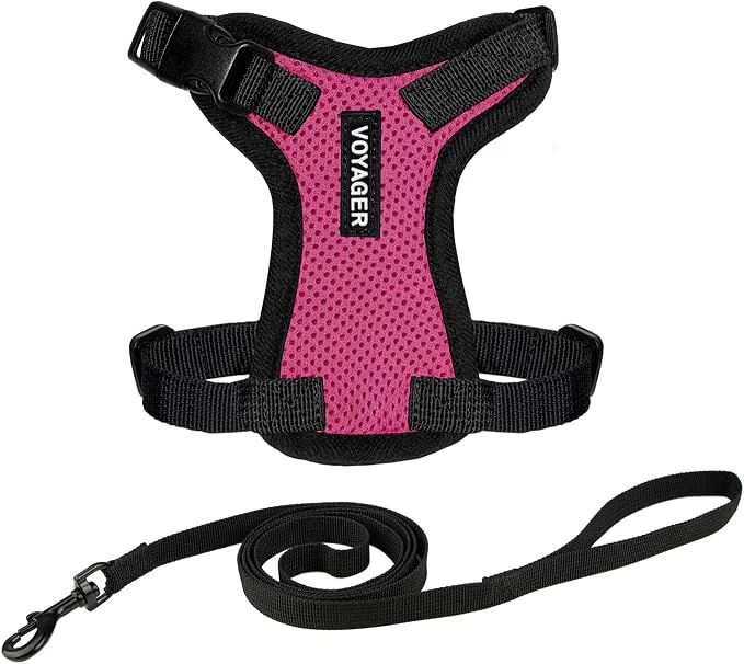 Artisan Voyager Escape-Proof Step-in Lock Cat Harness 5ft Neoprene-Handle Leash Set Detailed