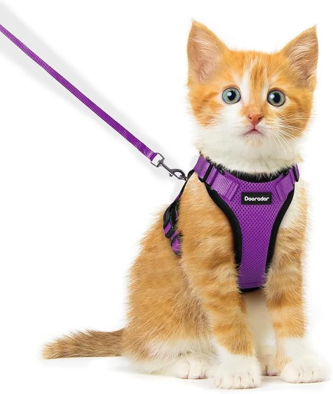 Functional Dooradar Cat Harness and Leash Set Escape Proof Safe Adjustable Kitten Vest Lightweight