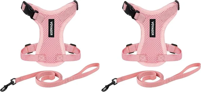 Efficient Voyager Step-in Lock Adjustable Cat Harness w. Cat Leash Combo Set Crafted
