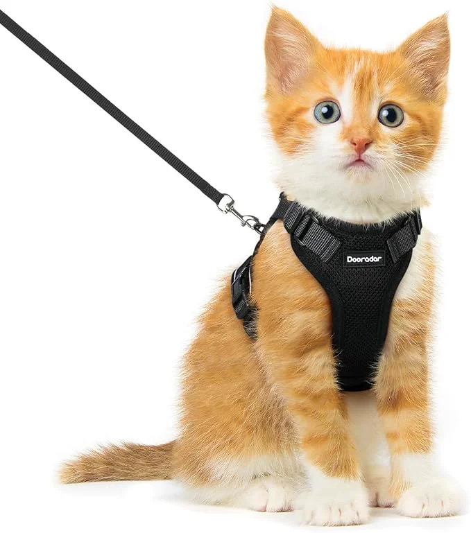 Relaxed Dooradar Cat Harness and Leash Set Escape Proof Safe Adjustable Kitten Vest Sustainable
