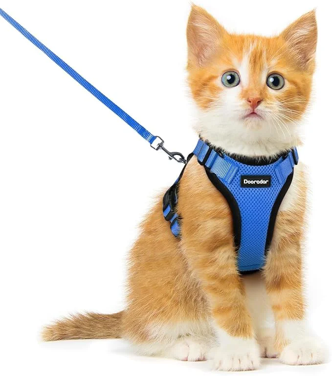 Premium Material Dooradar Cat Harness and Leash Set Escape Proof Safe Adjustable Kitten Vest Artisan