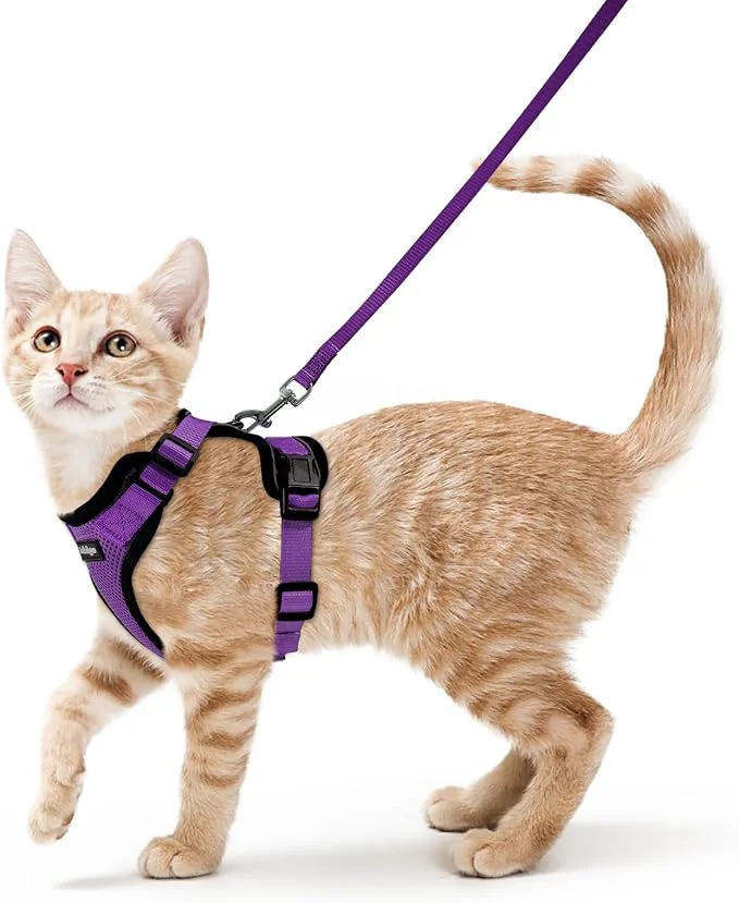 Reusable rabbitgoo Cat Harness and Leash Verified