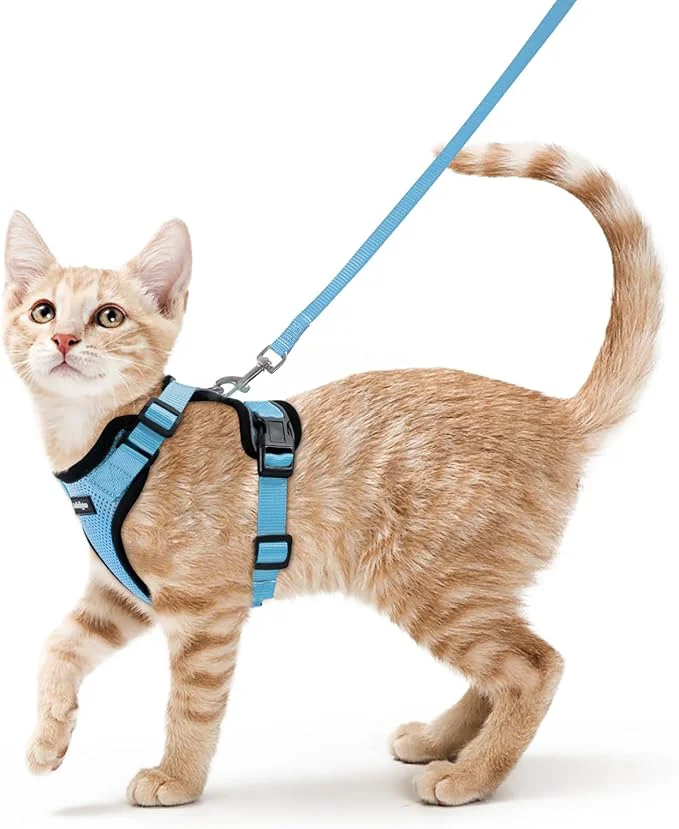Expertly Made rabbitgoo Cat Harness and Leash Reusable