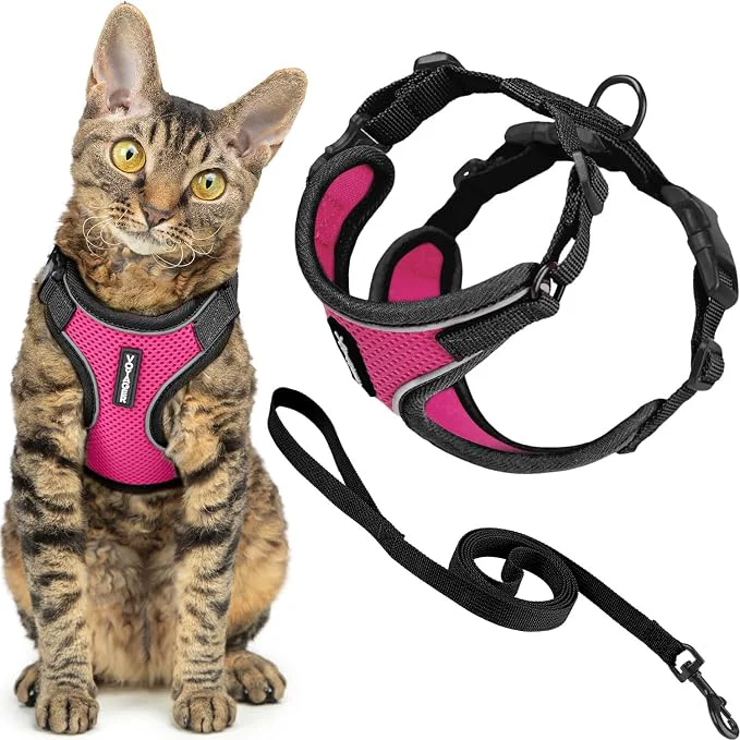 Quality Voyager Escape-Proof Step-in Lock Cat Harness 5ft Neoprene-Handle Leash Set Premium