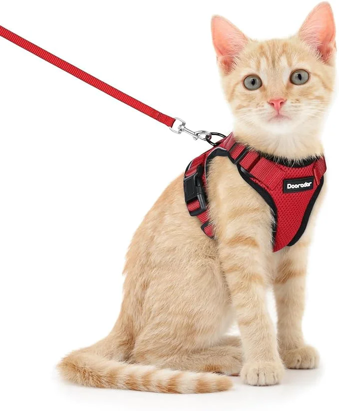 Reliable Dooradar Cat Harness and Leash Set Escape Proof Safe Adjustable Kitten Vest Expertly Made