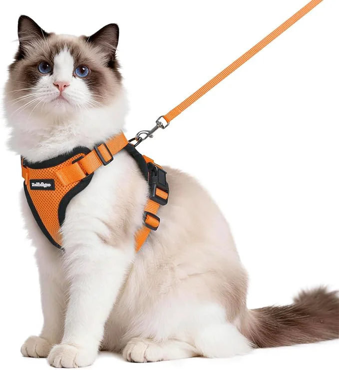 Safe rabbitgoo Cat Harness and Leash World-Class
