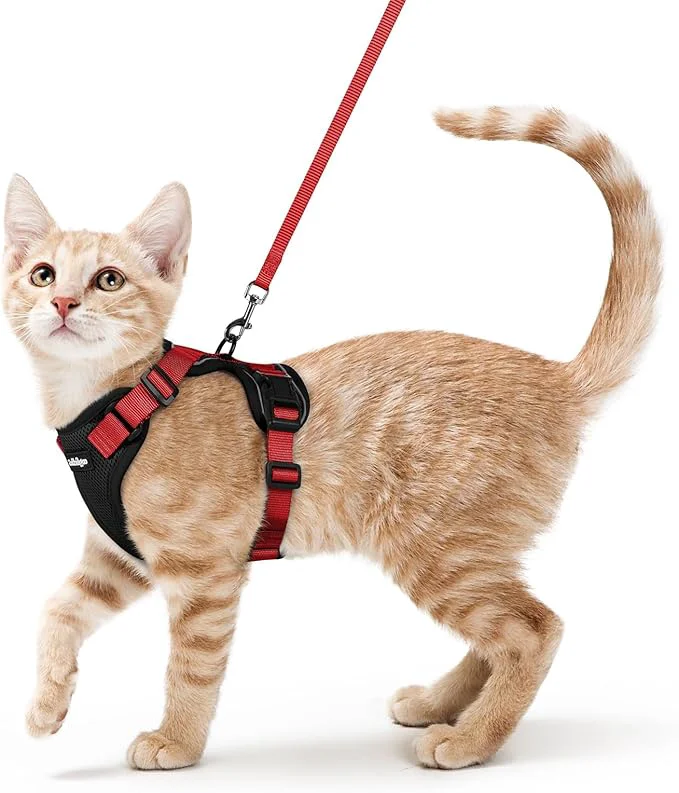 Traditional rabbitgoo Cat Harness and Leash Comfortable