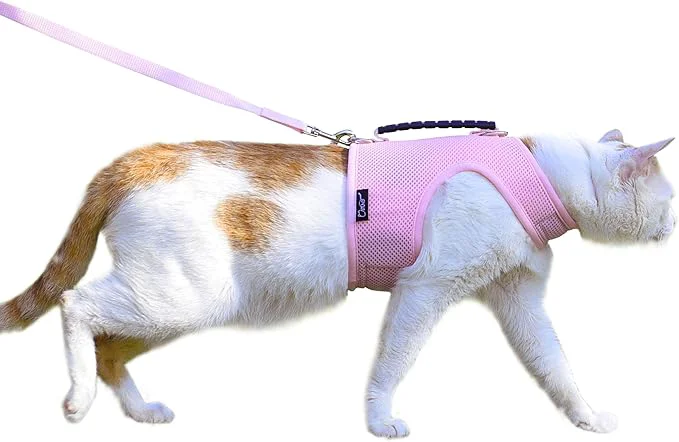 Reusable Kitty Harness and Leash for Walking Escape Proof Breathable Mesh Fabric Organic