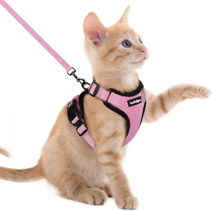 Original rabbitgoo Cat Harness and Leash High-Quality