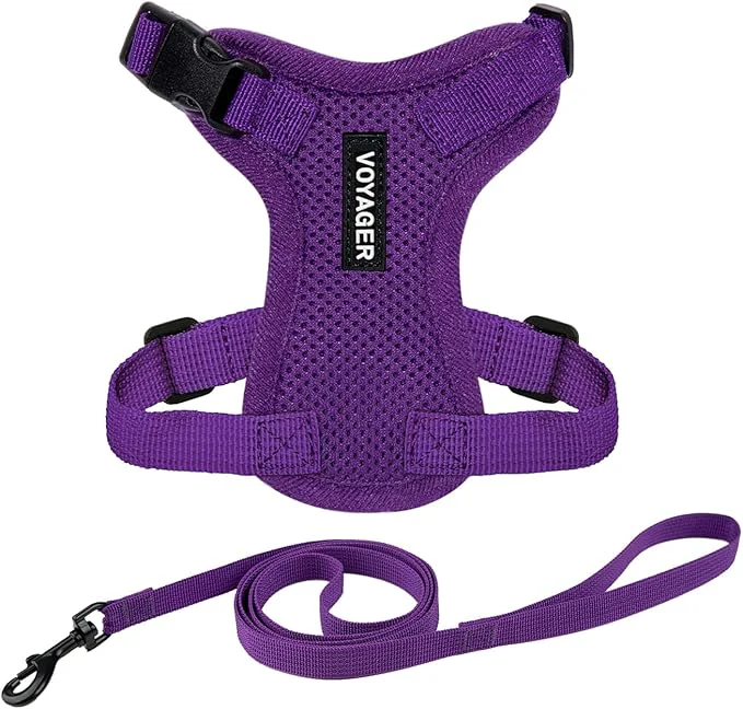 Breathable Voyager Escape-Proof Step-in Lock Cat Harness 5ft Neoprene-Handle Leash Set Proven