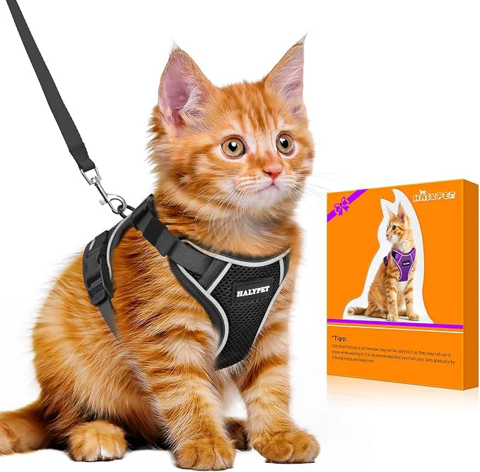 Elegant Halypet Cat Harness and Leash Set Escape Proof Adjustable Cat Leash Comfortable Proven