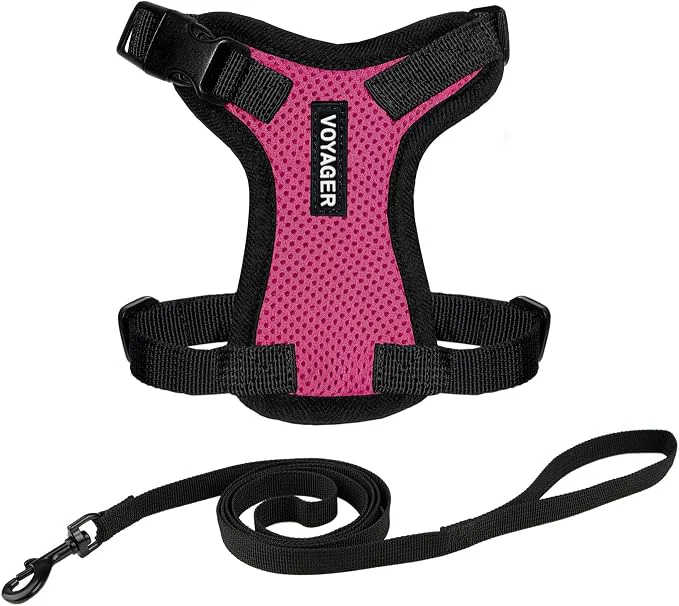 Exceptional Voyager Escape-Proof Step-in Lock Cat Harness 5ft Neoprene-Handle Leash Set Fine Crafted