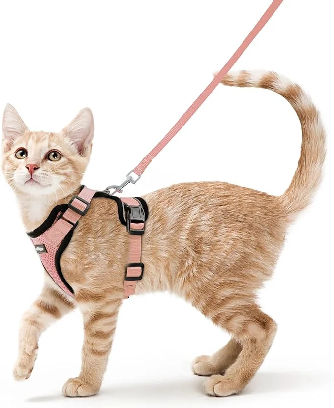 Sophisticated rabbitgoo Cat Harness and Leash Soft