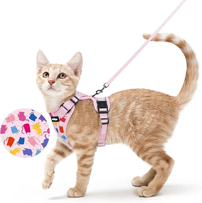 Professional rabbitgoo Cat Harness and Leash Dependable