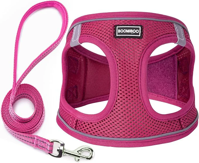 Artisan Dog Harness with Leash Set No Pull Adjustable Reflective Step-in Puppy Pet Verified