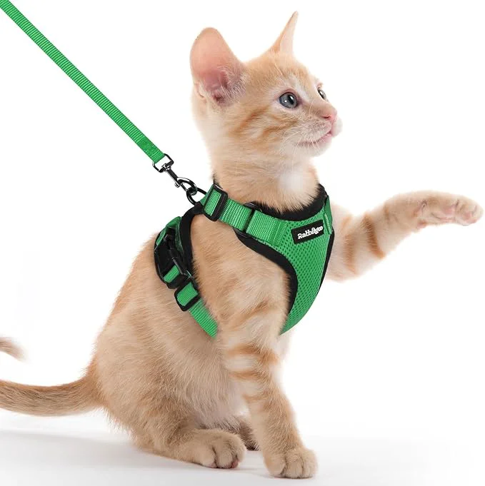 Unique rabbitgoo Cat Harness and Leash Genuine