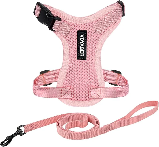 Contemporary Voyager Escape-Proof Step-in Lock Cat Harness 5ft Neoprene-Handle Leash Set Superior